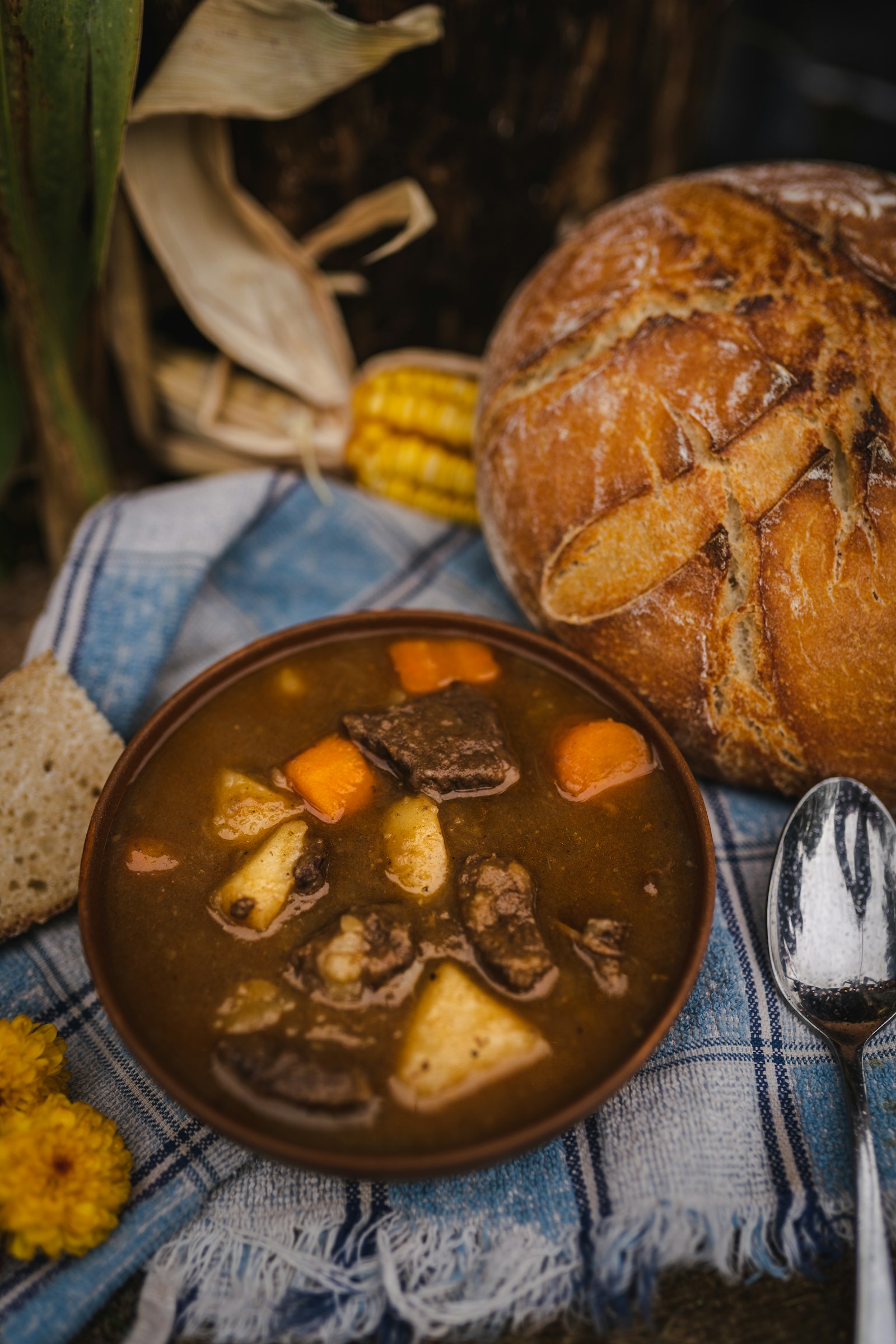 Beef stew with carrots and potatoes beside sourdough bread on a blue checked cloth